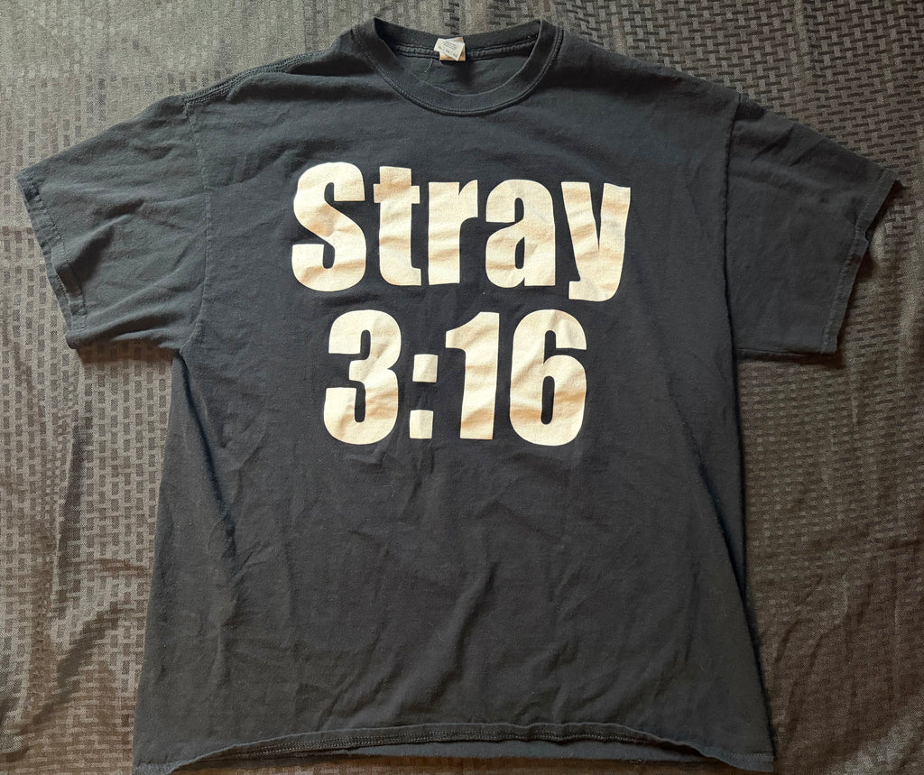 Stray 3:16