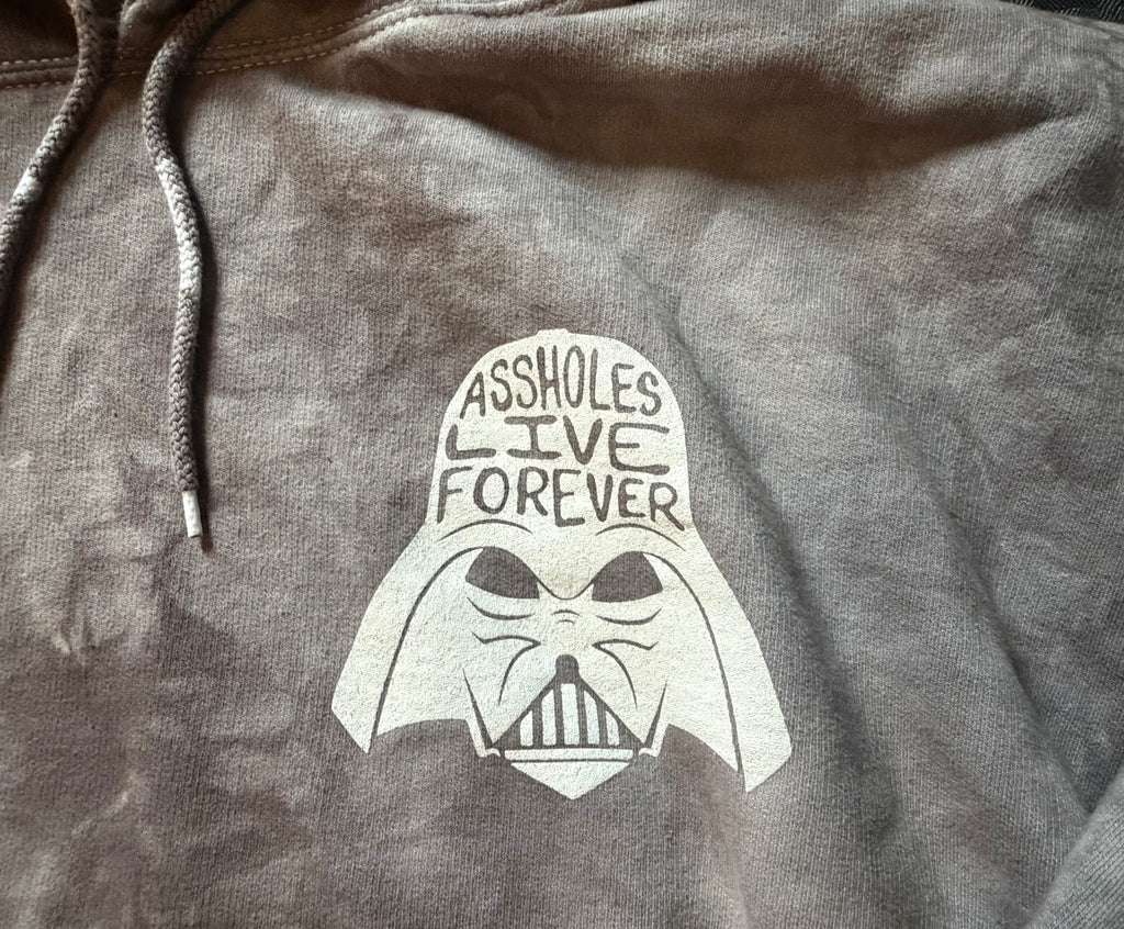 May the Whores be with You Hoodie