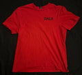 DAL9 Red Texas
