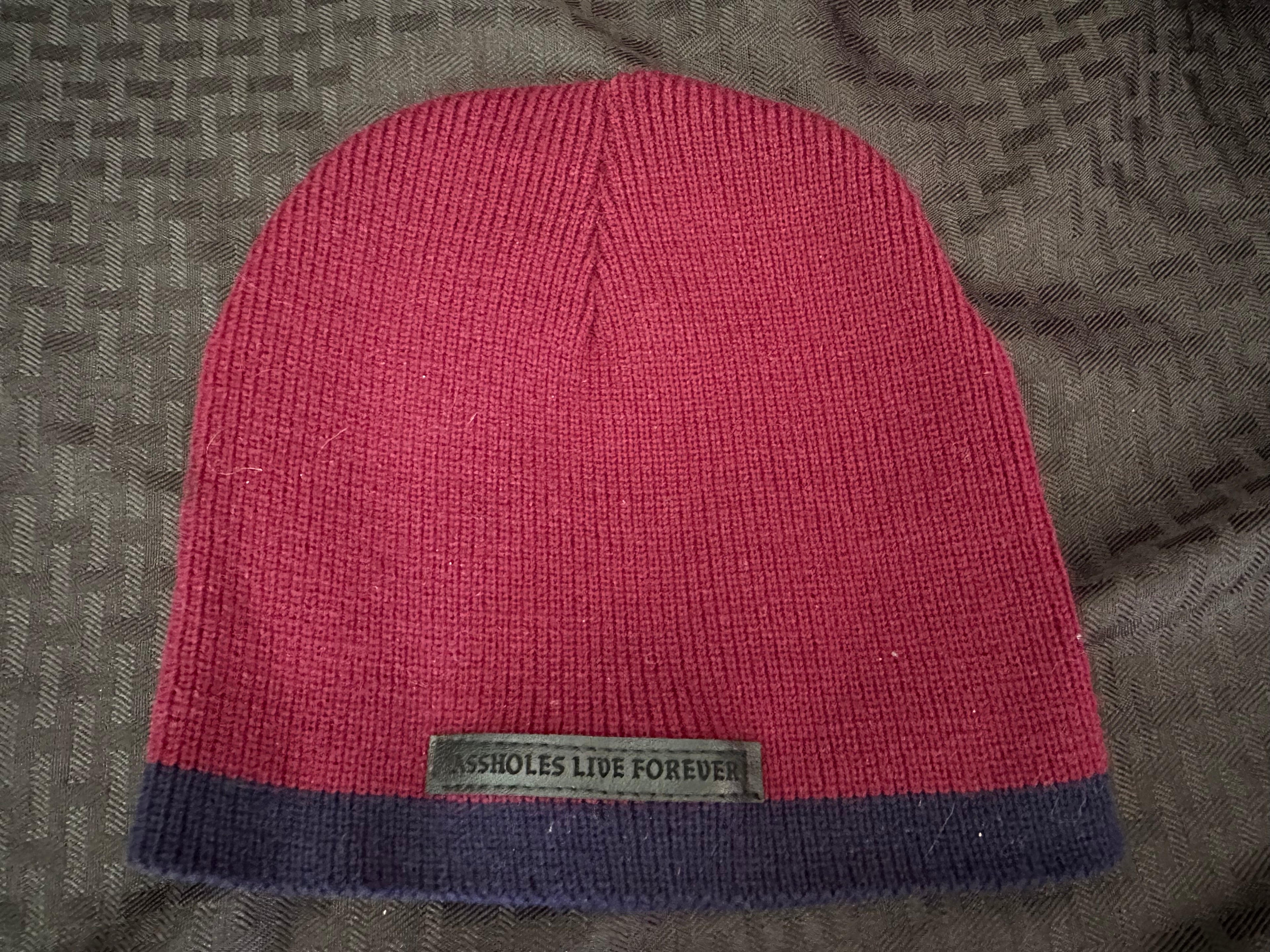 Assholes Live Forever Beanie
