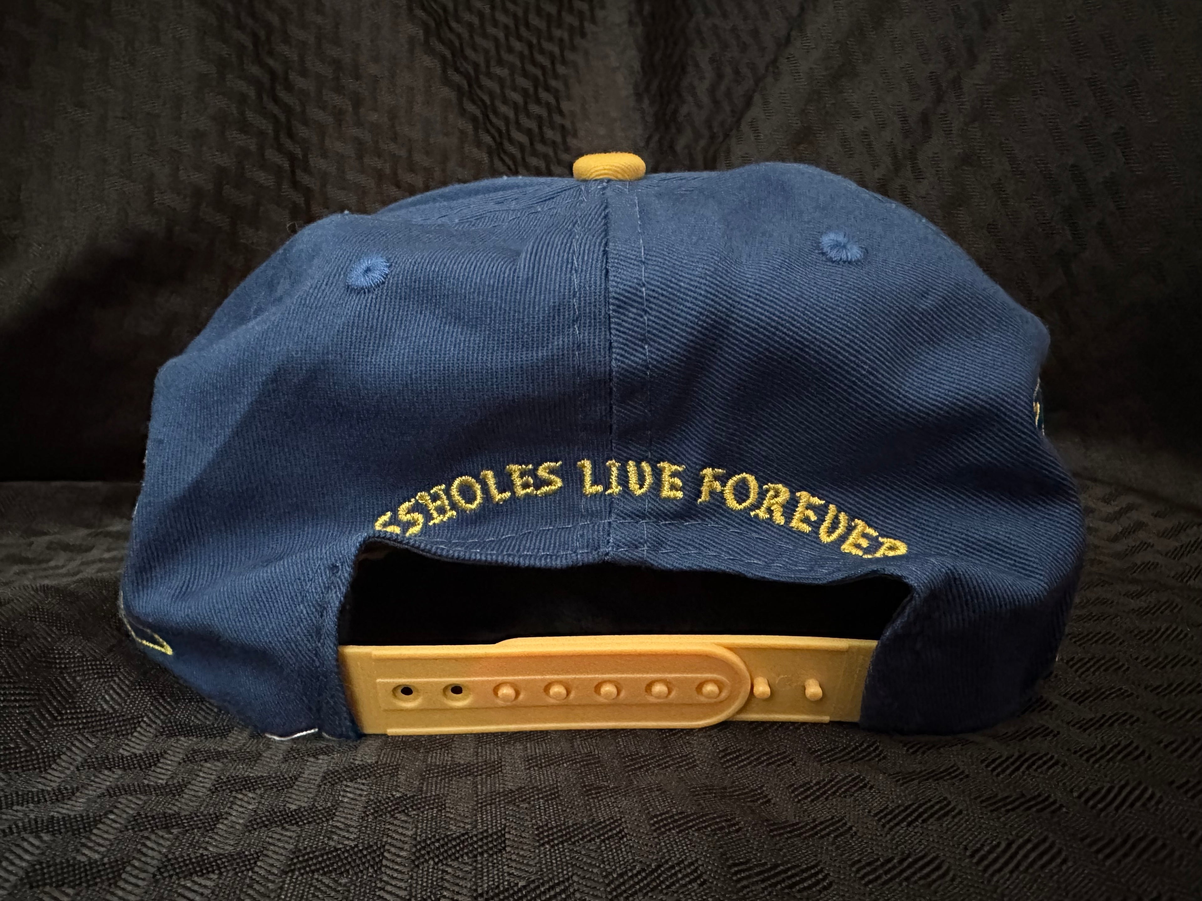 Assholes Live Forever Blue/Yellow Graffiti Hat